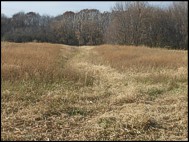 Fox Bend Park result