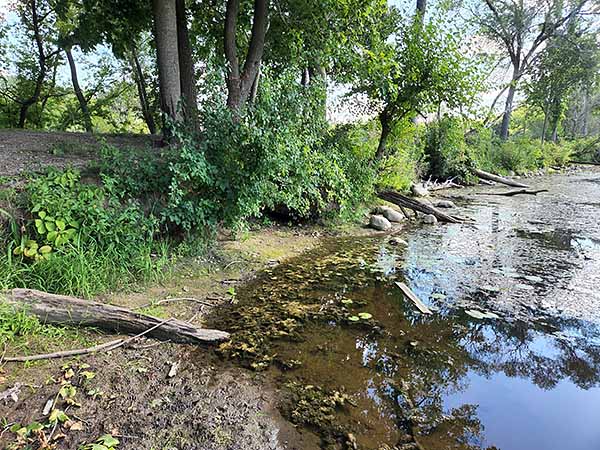 John Margis Wildlife Area restoration