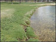 Mukwonago Park Shore Restoration Project