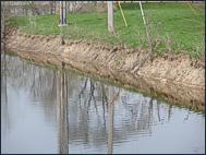 Mukwonago River Shoreline Stabilization Project