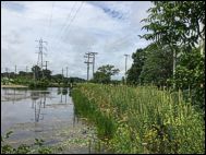 Mukwonago River Shoreline Stabilization Project