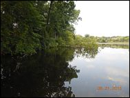 Roxy Pond Shore Restoration Project