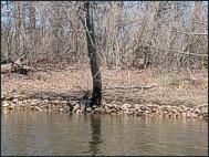 Schmidt & Canton Island Erosion Control Project